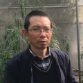 Is Hemp Legal in China? A Comprehensive Guide