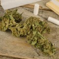 Are Hemp Papers Healthy for Smoking?